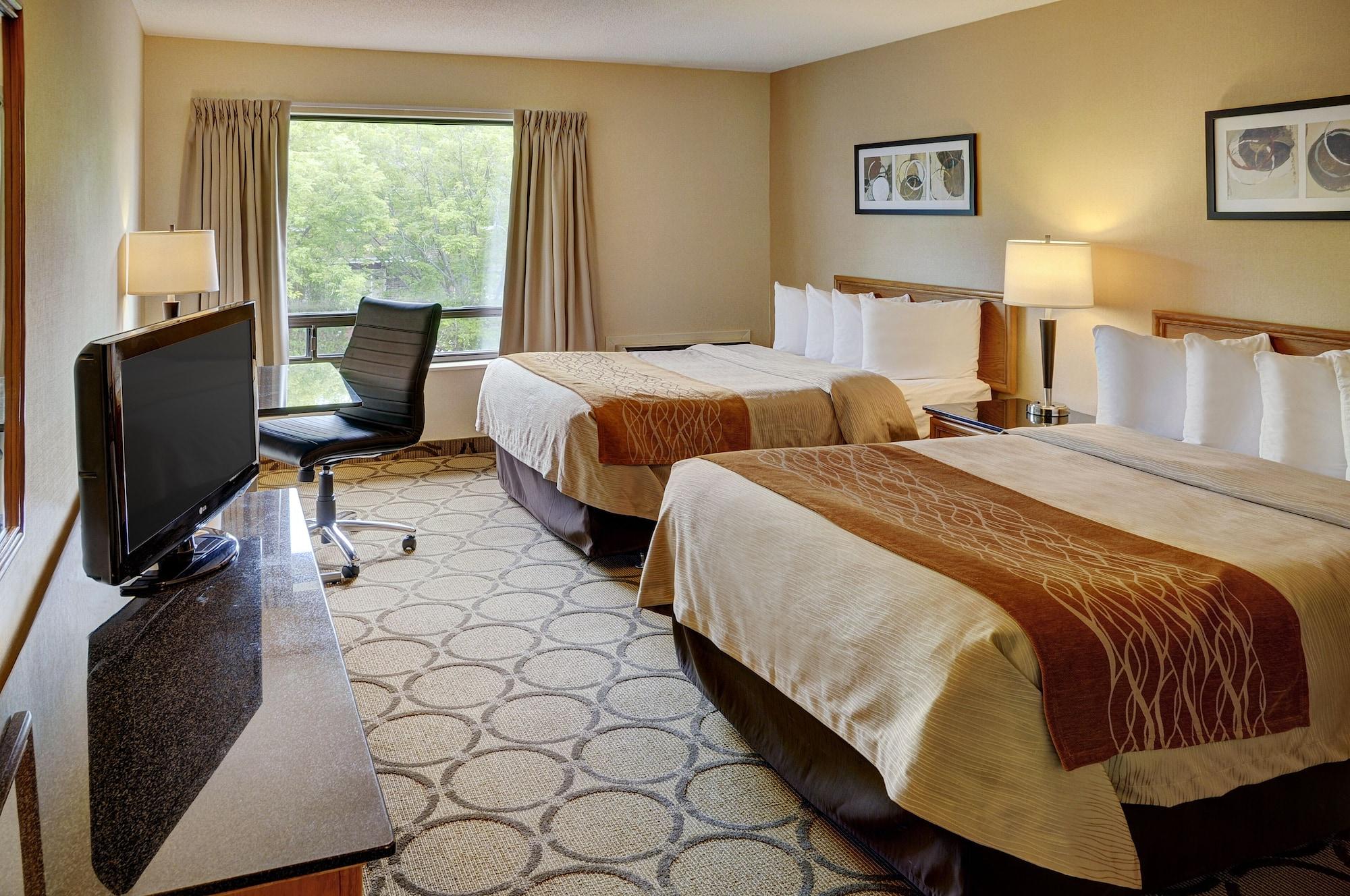 Comfort 3*
