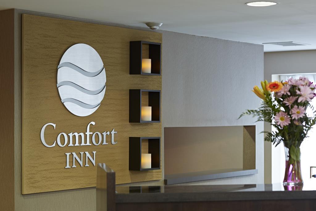 Comfort Hotel 3*