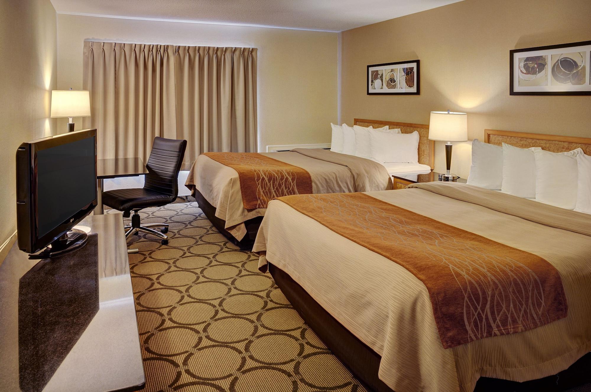 Comfort 3*